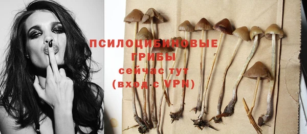 трава Абинск