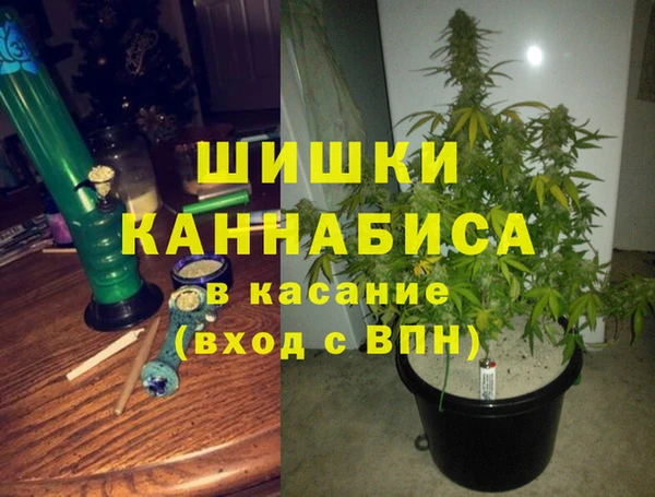 ECSTASY Абаза